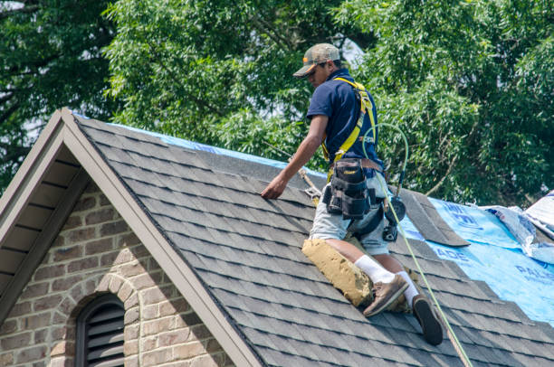 Professional Roofing Contractor in White Bear Lake, MN